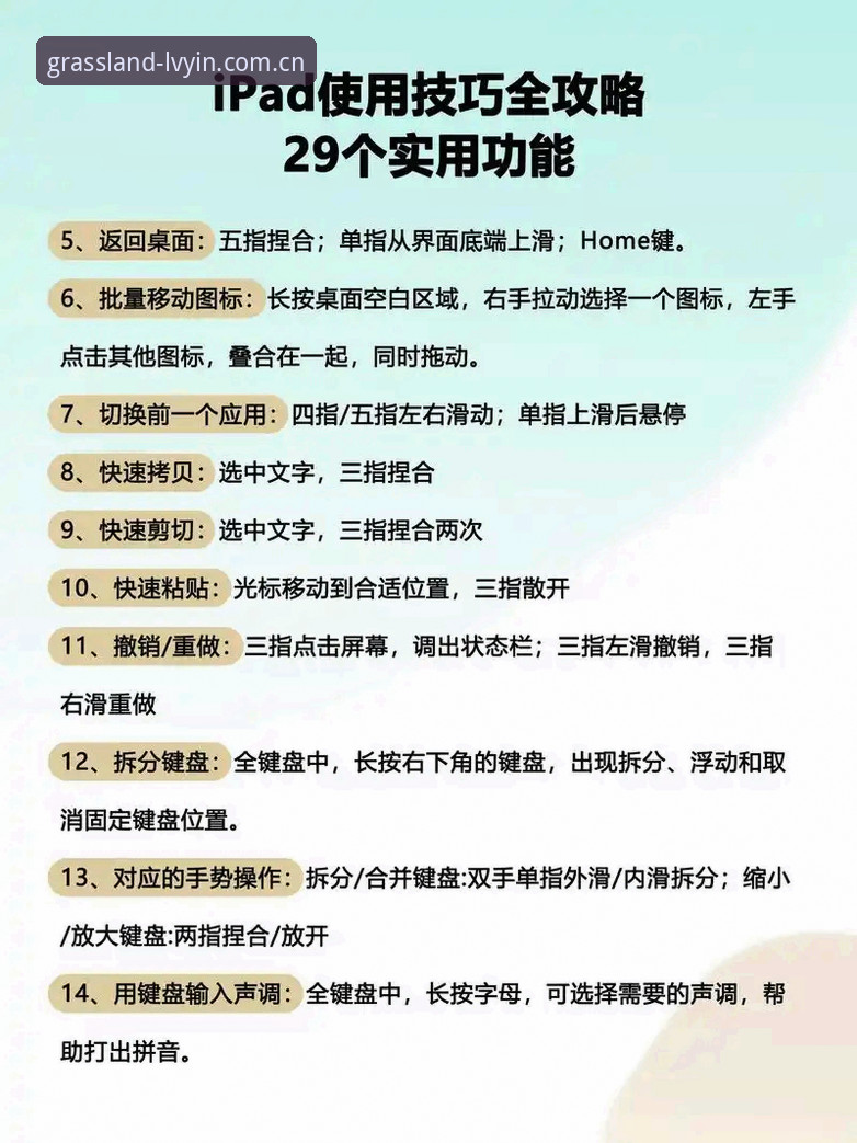 绿茵体育电脑版攻略：新手从零开始的完整使用指南