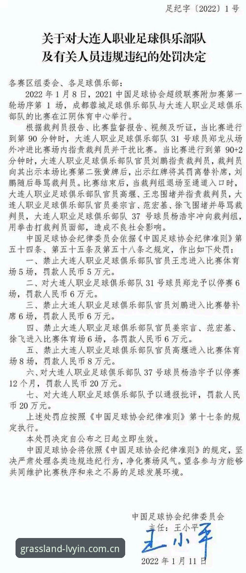 绿茵体育平台看足协重磅罚单:第三批禁足名单完整解读与观赛指南
